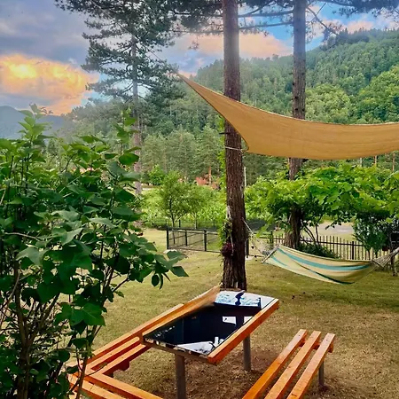 Pine Oasis Apartman