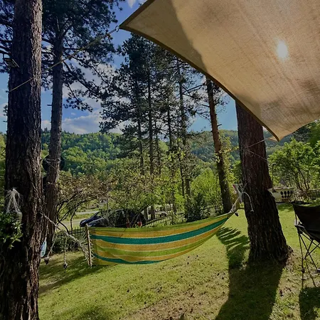 Pine Oasis * Zavidovici