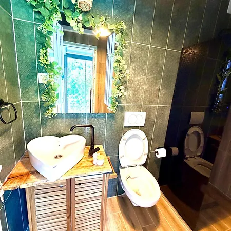 Apartman Pine Oasis Zavidovici