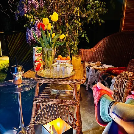 Pine Oasis Apartman Zavidovici